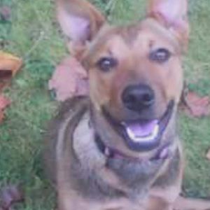 Meet your Posher, Felicia